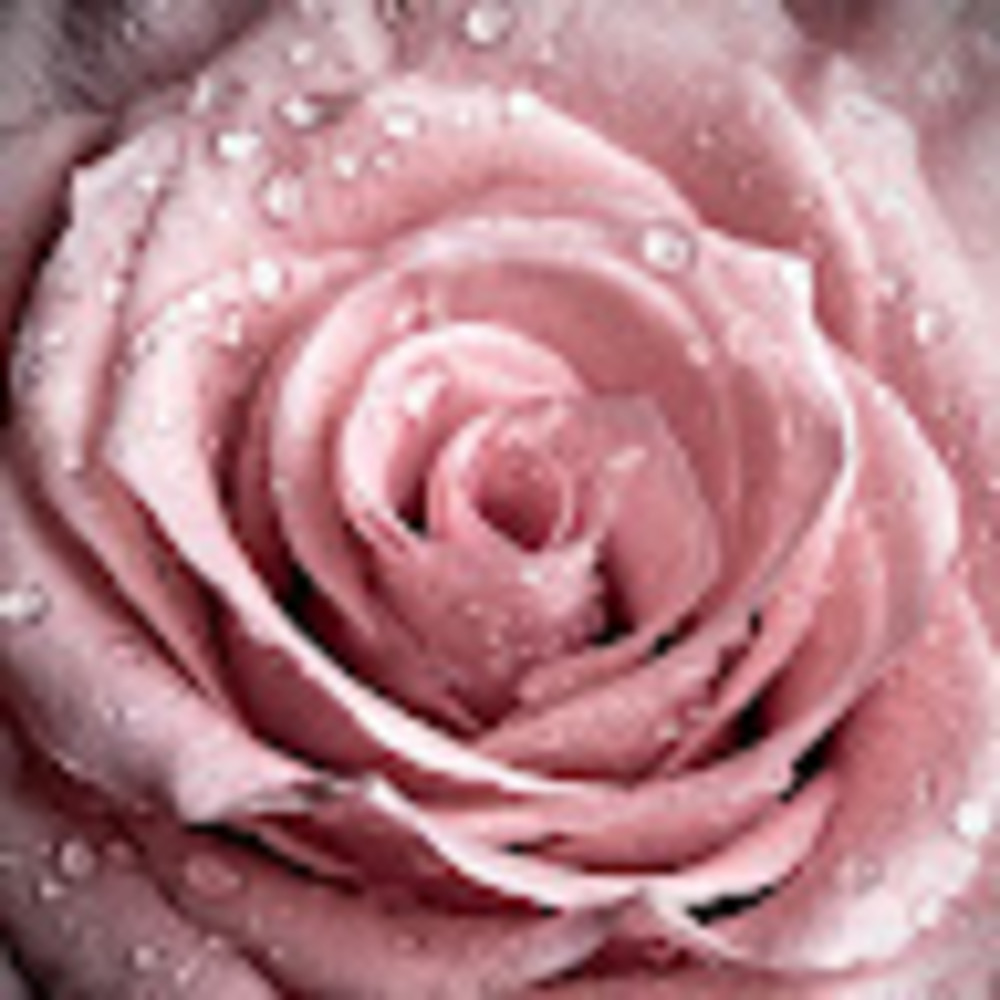 Meet your Posher, Aamina